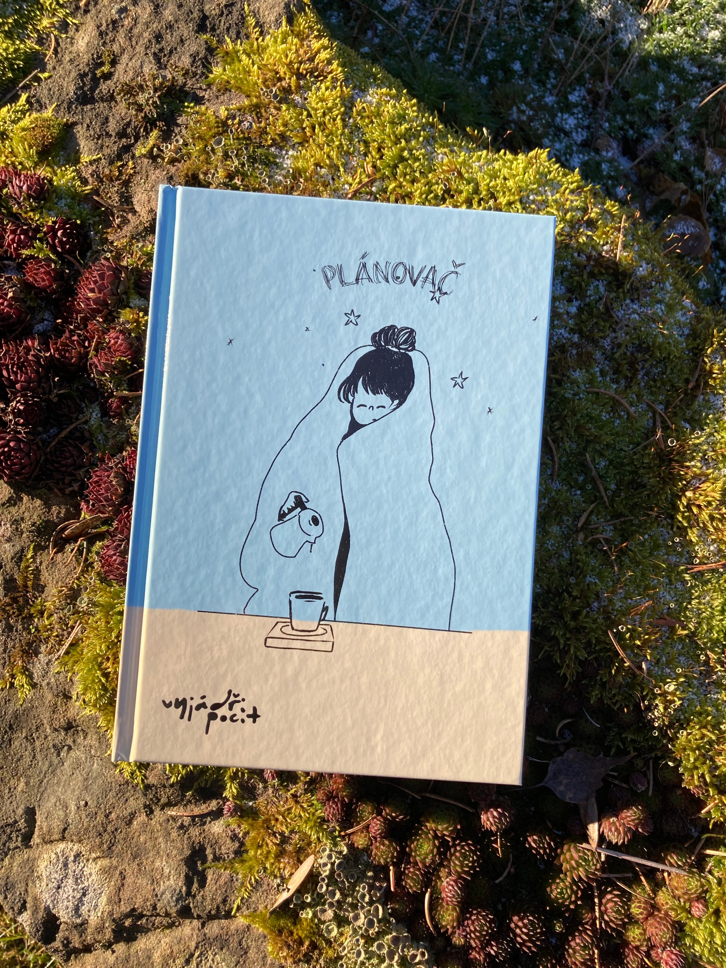 denní plánovač s terapeutickými worksheety